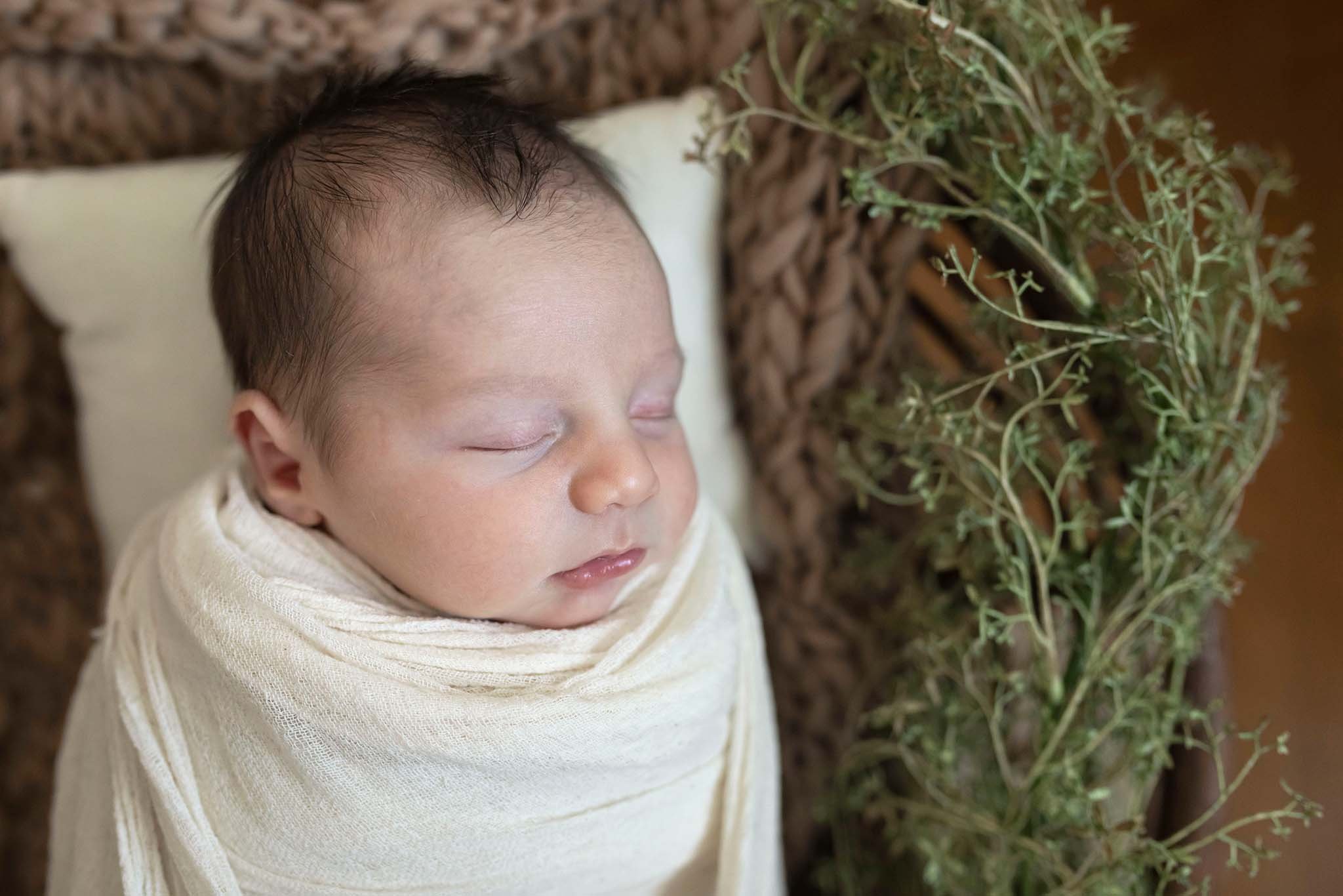 newborn photography posed baby