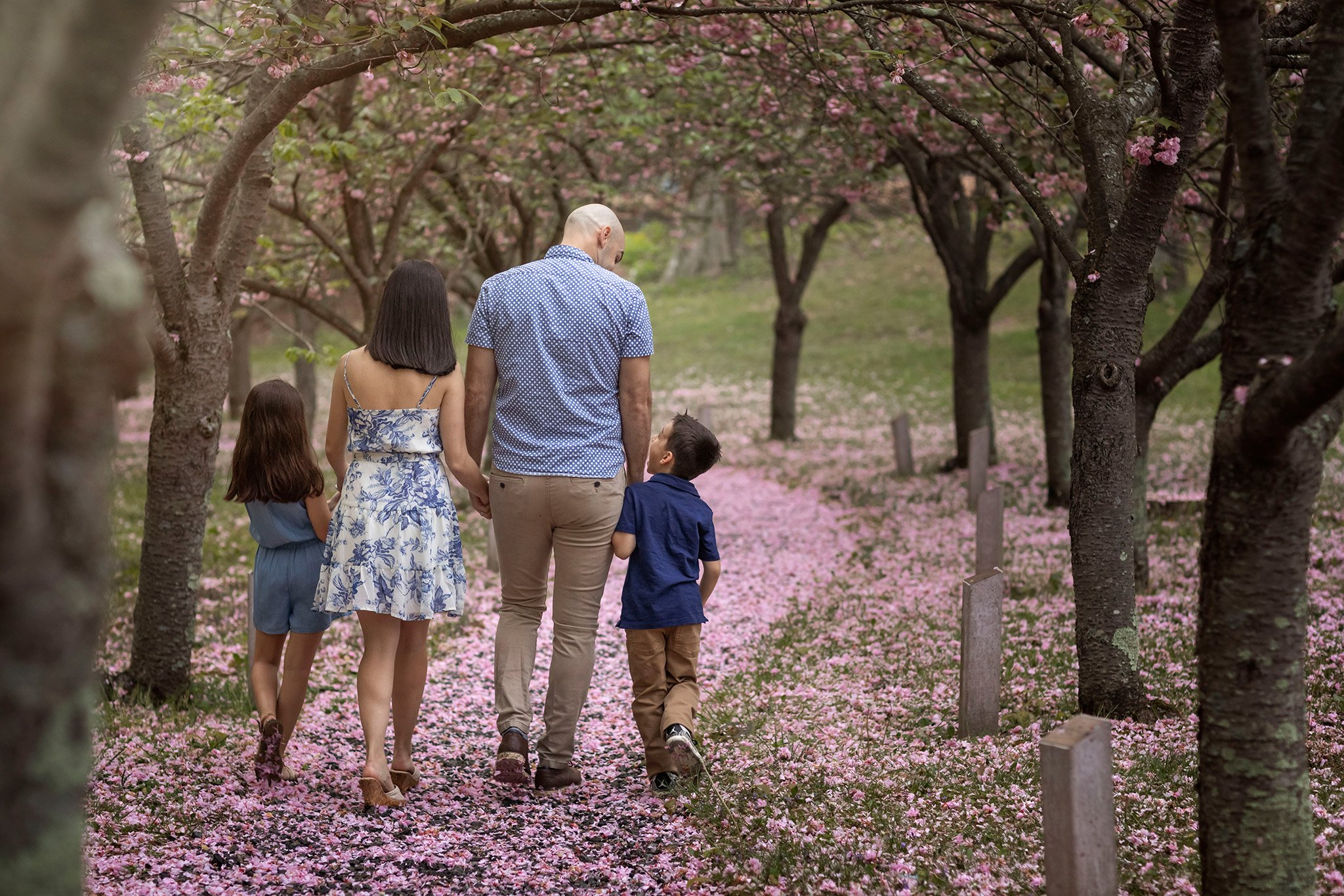 NJ Cherry Blossom Family Photography
