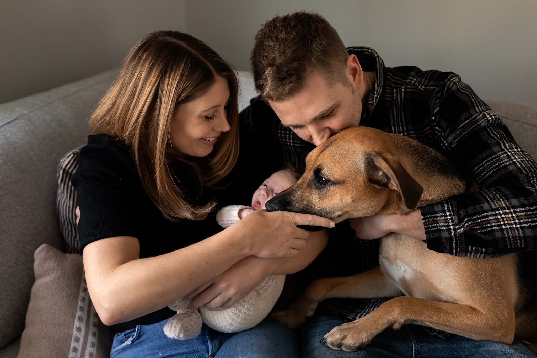 family showing baby to dog