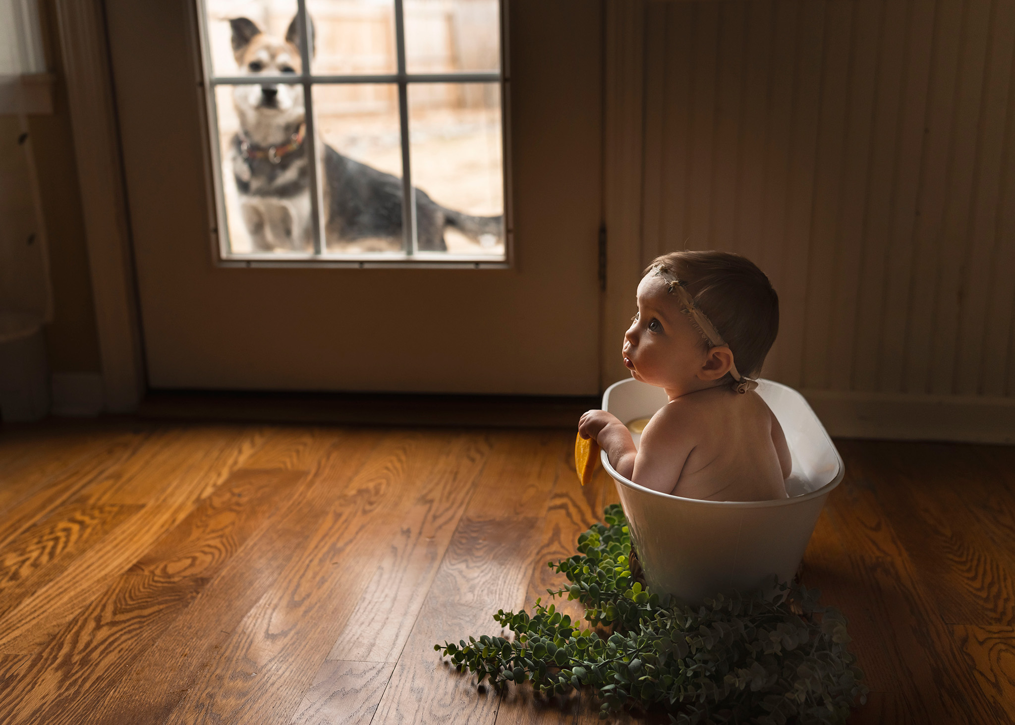 Baby looks up as dog watches the NJ Milk Bath Photography session