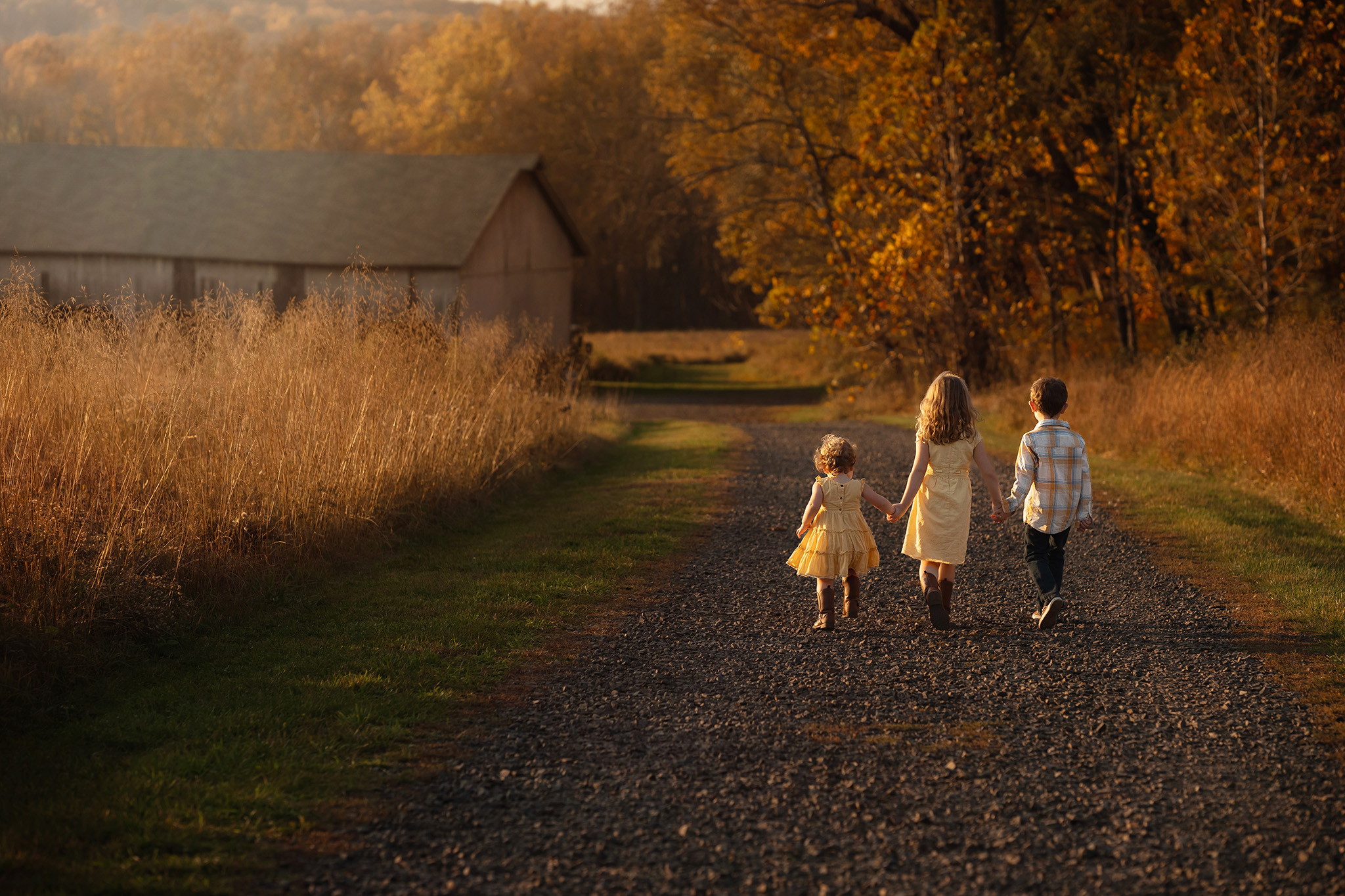 A young girl leads her brother and baby sister down a farm trail while holding hands at sunset after meeting nannies in nj